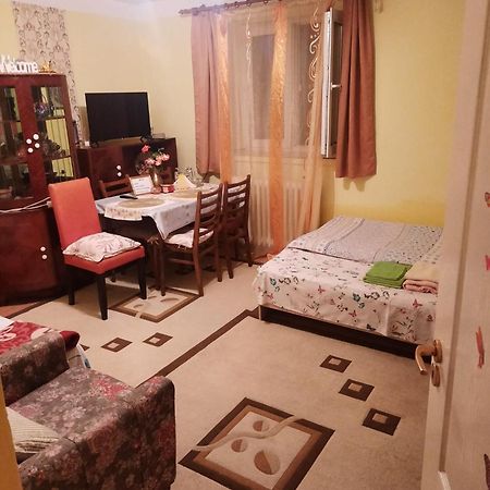 Apartament Cu Doua Camere Si Gradina Cluj-Napoca Luaran gambar