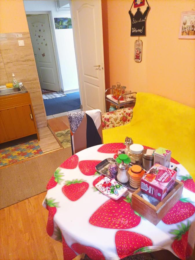 Apartament Cu Doua Camere Si Gradina Cluj-Napoca Luaran gambar