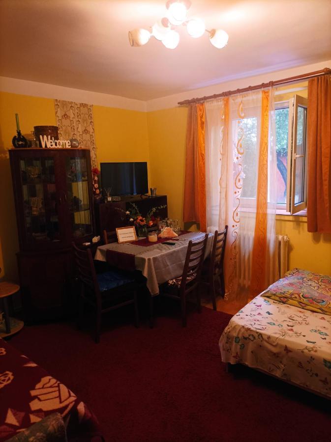 Apartament Cu Doua Camere Si Gradina Cluj-Napoca Luaran gambar