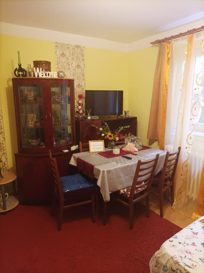 Apartament Cu Doua Camere Si Gradina Cluj-Napoca Luaran gambar