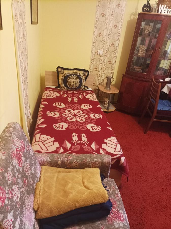 Apartament Cu Doua Camere Si Gradina Cluj-Napoca Luaran gambar