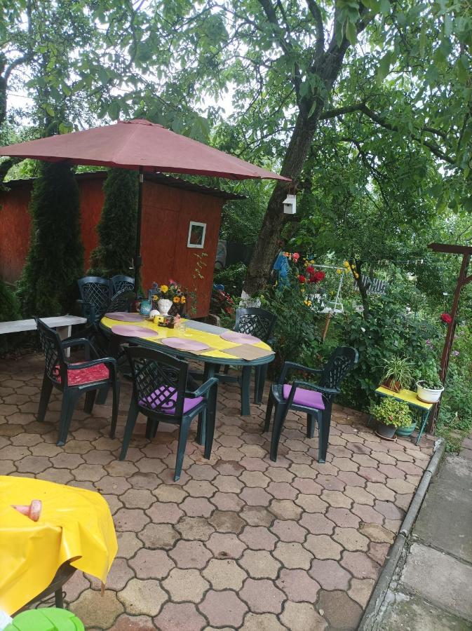 Apartament Cu Doua Camere Si Gradina Cluj-Napoca Luaran gambar