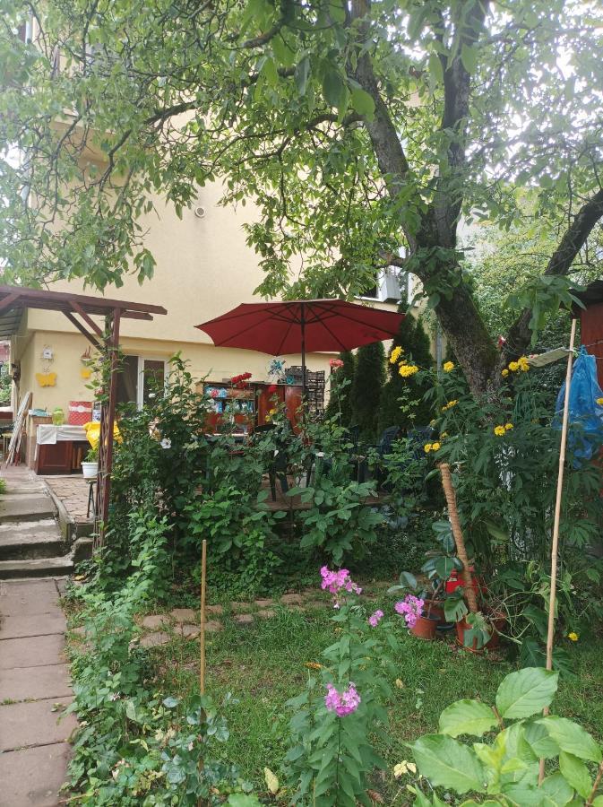 Apartament Cu Doua Camere Si Gradina Cluj-Napoca Luaran gambar