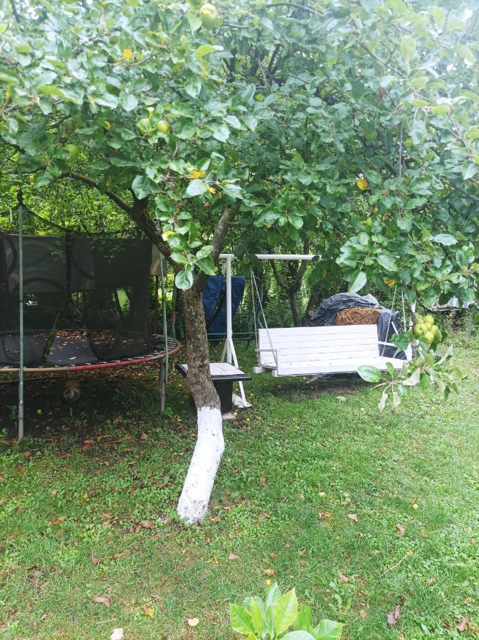 Apartament Cu Doua Camere Si Gradina Cluj-Napoca Luaran gambar
