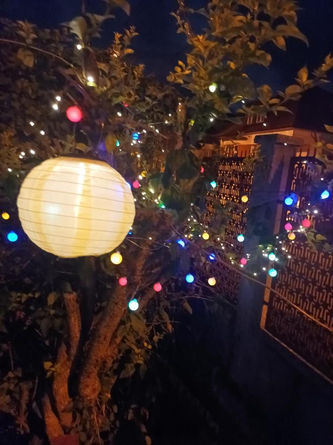 Apartament Cu Doua Camere Si Gradina Cluj-Napoca Luaran gambar